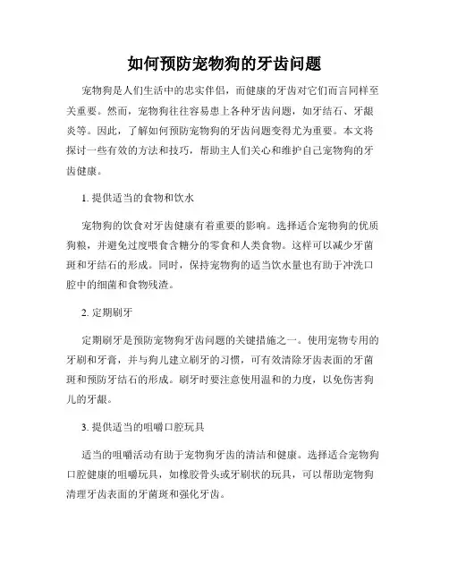 如何预防宠物狗的牙齿问题