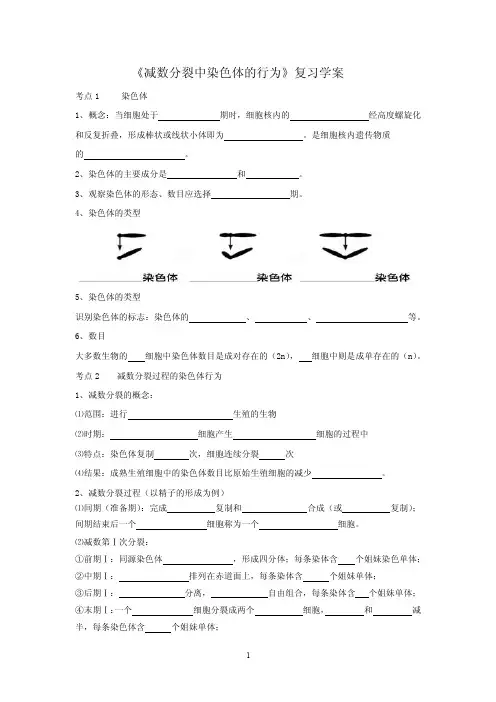 减数分裂中染色体的行为