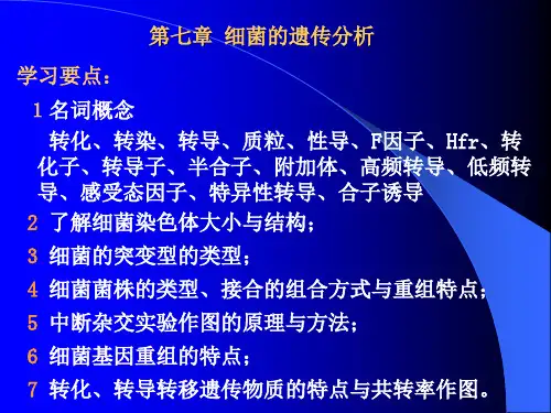 第七章 细菌遗传分析