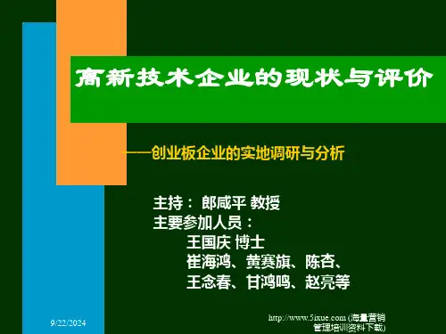 郎咸平-高新技术企业的现状与评价1ppt课件