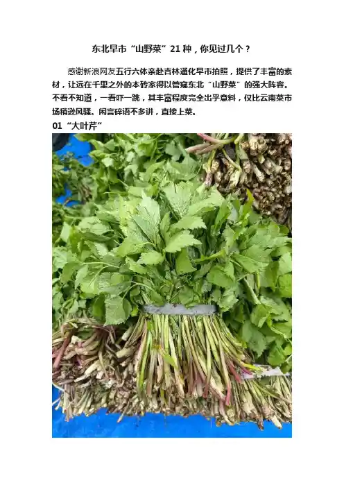东北早市“山野菜”21种，你见过几个？