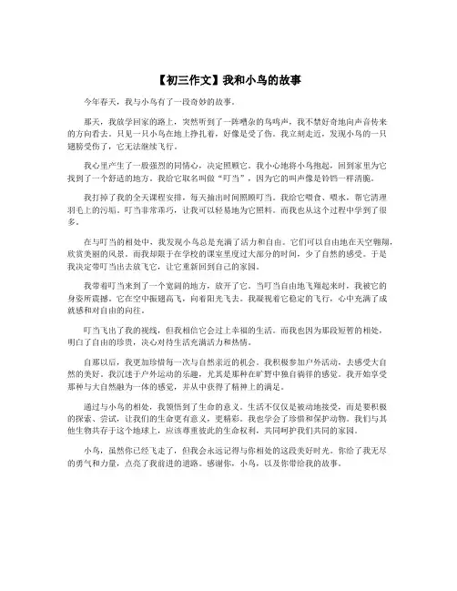 【初三作文】我和小鸟的故事