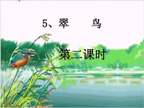 《翠鸟》ppt课件 - 第二课时