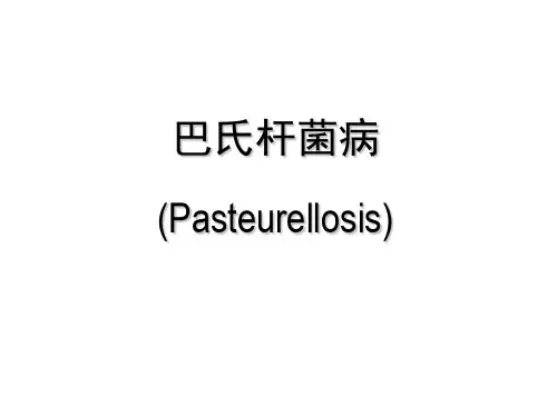 巴氏杆菌病