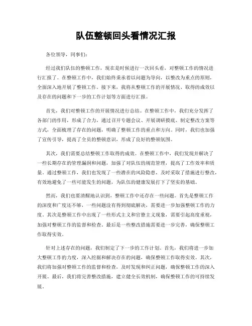 队伍整顿回头看情况汇报
