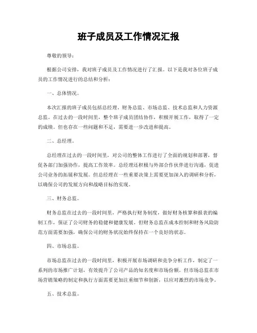 班子成员及工作情况汇报