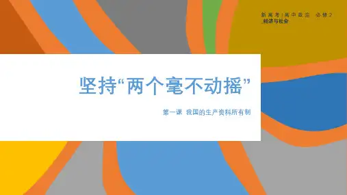 高中政治统编版必修经济与社会坚持“两个毫不动摇”课件3