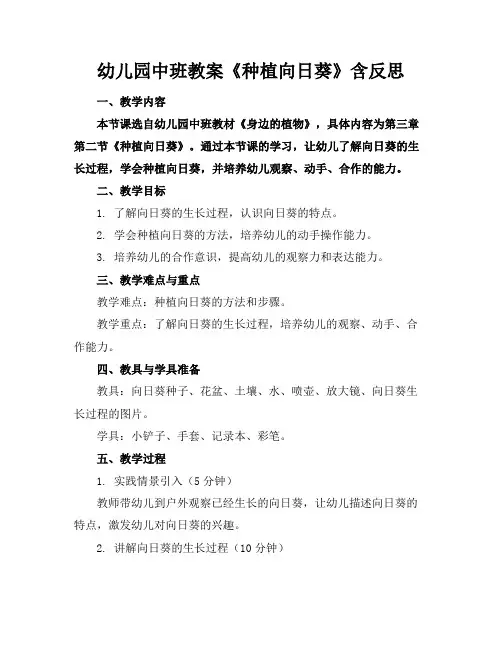幼儿园中班教案《种植向日葵》含反思
