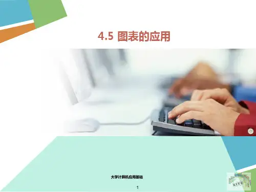 图表的应用PPT课件