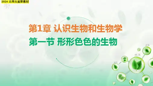 形形色色的生物ppt课件