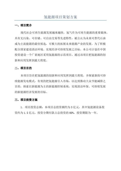 氢能源项目策划方案