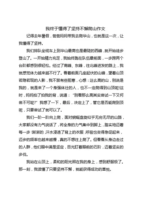 我终于懂得了坚持不懈作文爬山