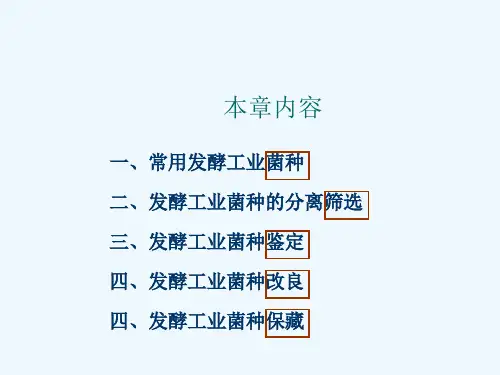 发酵工程第二章发酵工业菌种ppt课件