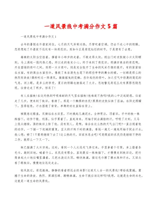 一道风景线中考满分作文5篇