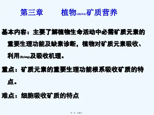 《矿质营养》PPT课件