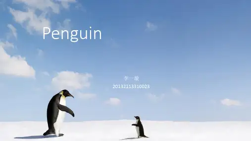 企鹅的英文ppt