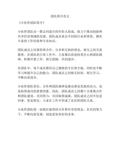 团队简介范文