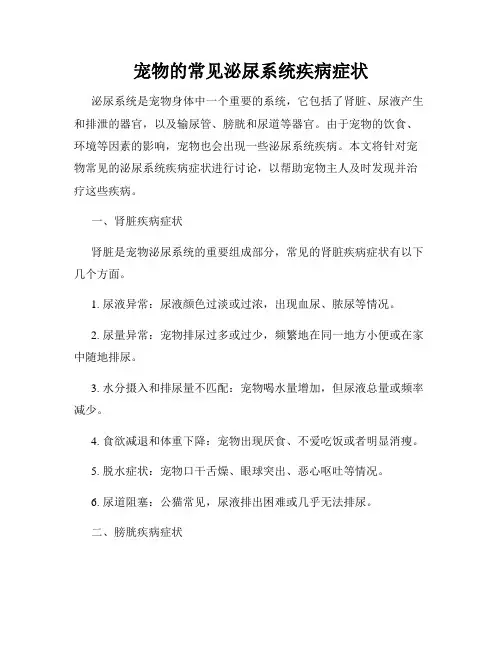 宠物的常见泌尿系统疾病症状