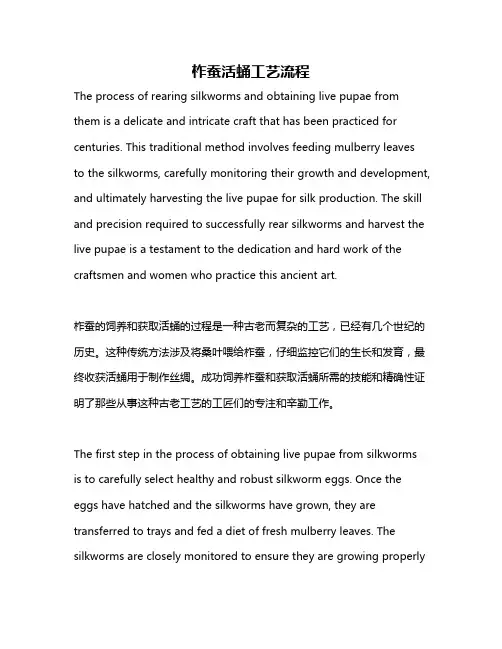 柞蚕活蛹工艺流程