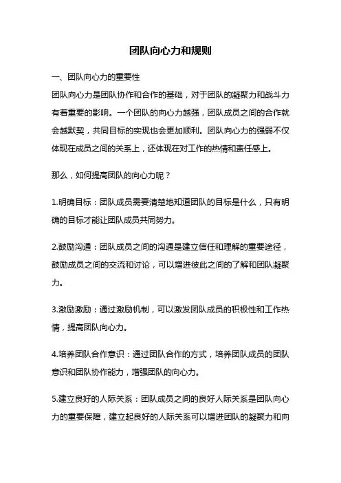 团队向心力和规则