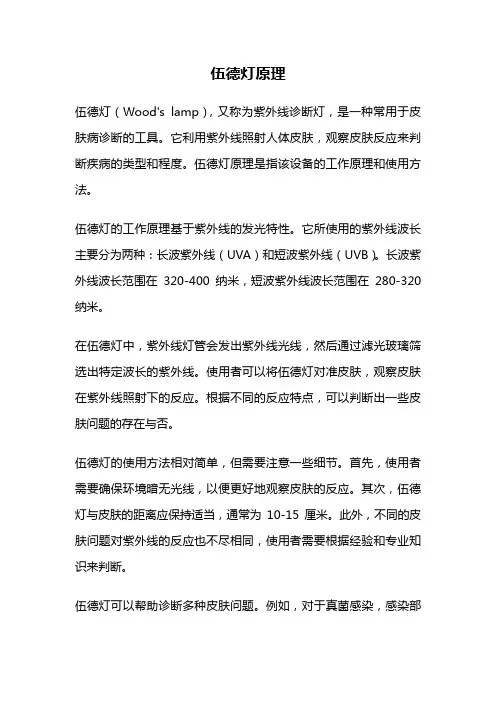 伍德灯原理