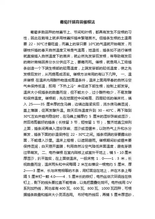 葡萄扦插育苗催根法