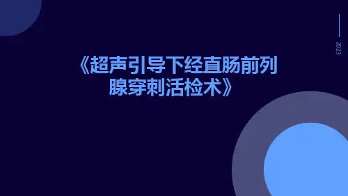 超声引导下经直肠前列腺穿刺活检术