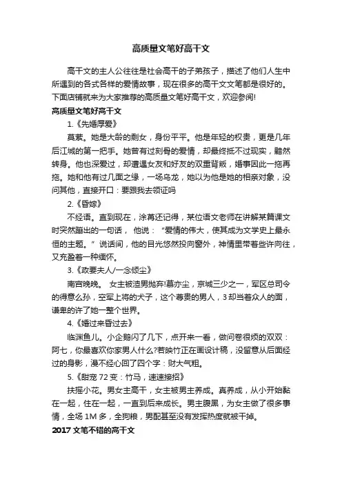 高质量文笔好高干文