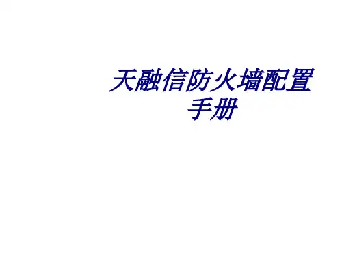 天融信防火墙配置手册讲义