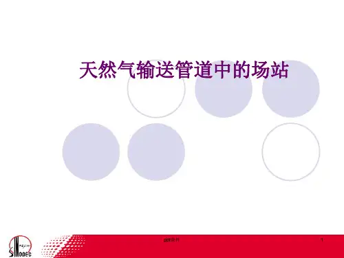 天然气站场  ppt课件