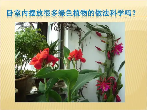 初中生物苏教版七年级上册第四节 植物的呼吸作用