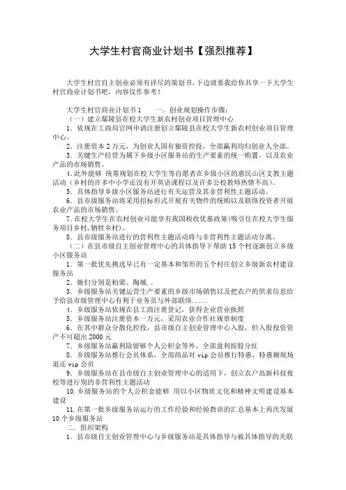 大学生村官商业计划书【强烈推荐】