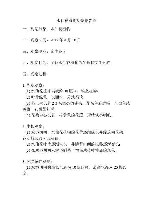 水仙花植物观察报告单