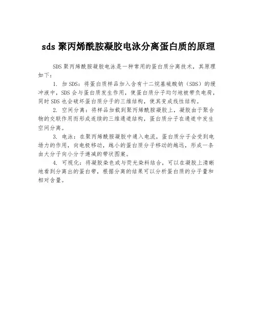 sds聚丙烯酰胺凝胶电泳分离蛋白质的原理