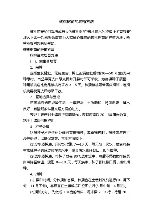 核桃树苗的种植方法
