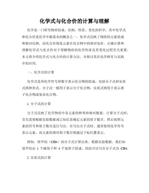 化学式与化合价的计算与理解