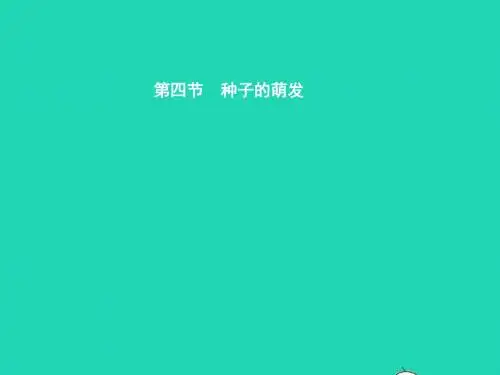八年级生物上册第四单元第一章第四节种子的萌发(第1课时种子萌发的条件)课件(新版)济南版
