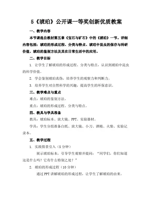 5《琥珀》公开课一等奖创新优质教案