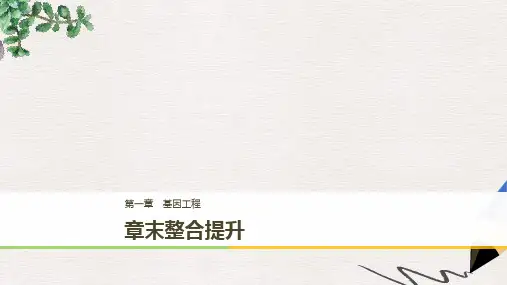 【推荐】版高中生物第一章基因工程章末整合提升课件苏教版选修3