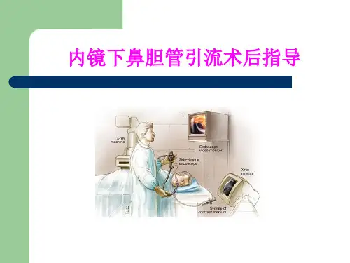 内镜下鼻胆管引流术后护理_