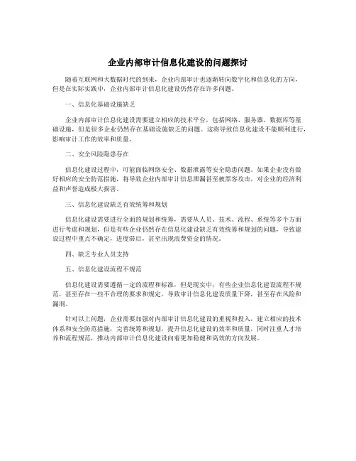 企业内部审计信息化建设的问题探讨