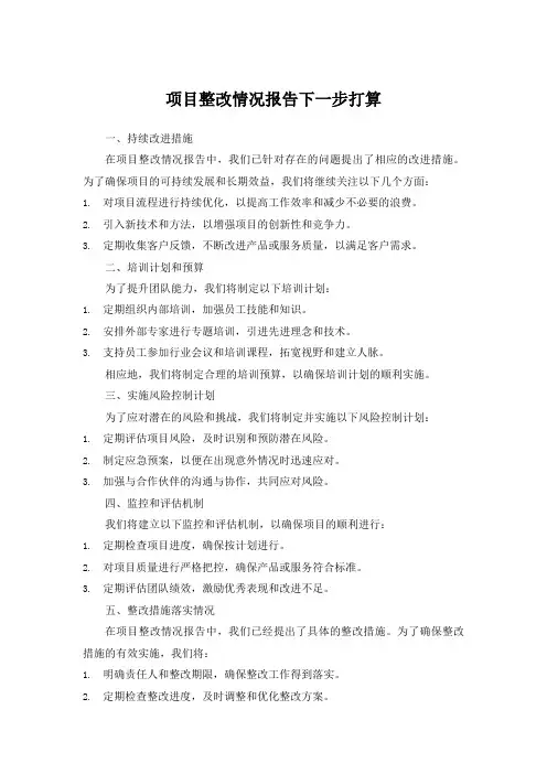 项目整改情况报告下一步打算
