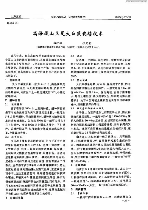 高海拔山区夏大白菜栽培技术