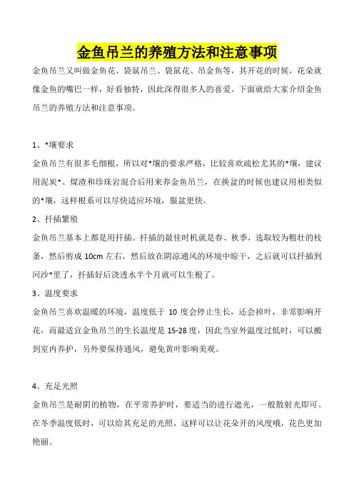 金鱼吊兰的养殖方法和扦插