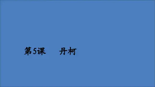 2020年高中语文第三单元第5课丹柯课件新人教版选修《外国小说欣赏》
