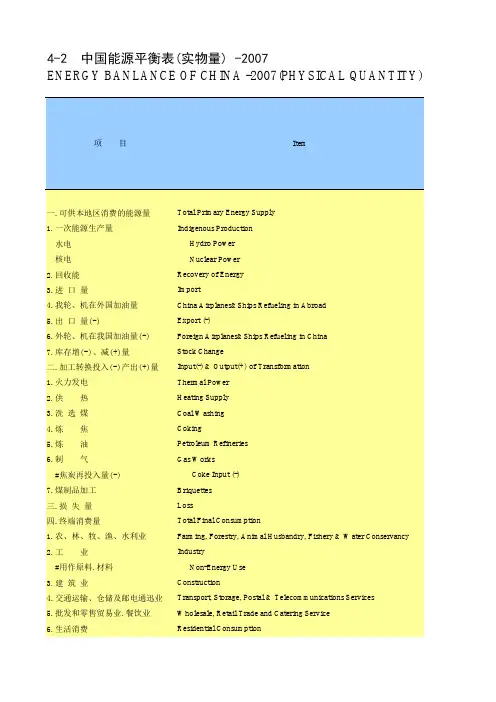 中国能源平衡表(实物量) -2007