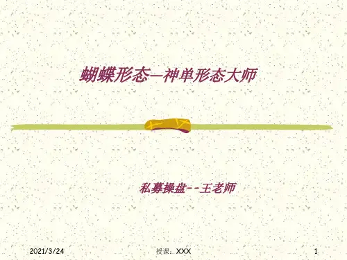 蝴蝶形态之神单理论