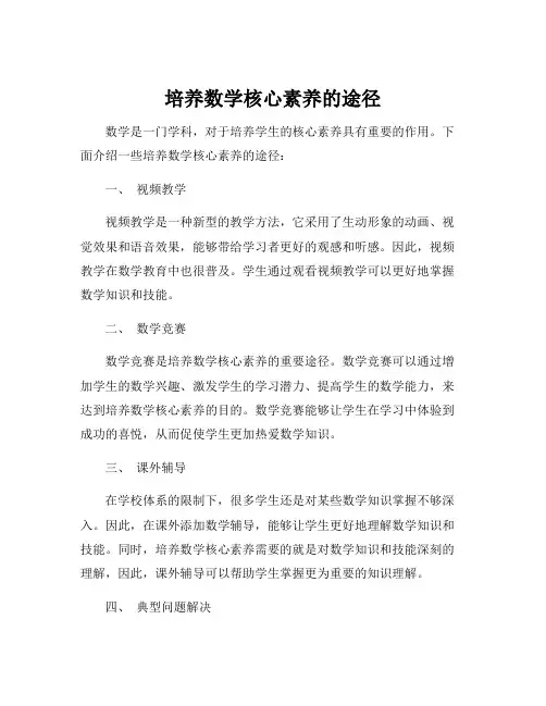 培养数学核心素养的途径