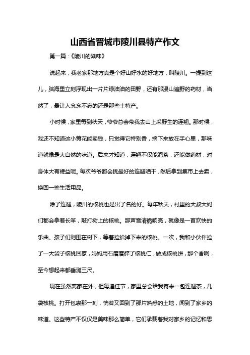 山西省晋城市陵川县特产作文