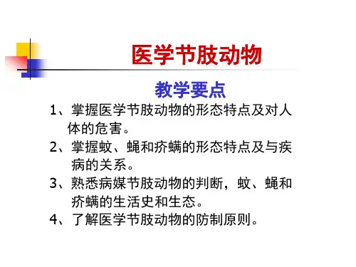 医学节肢动物